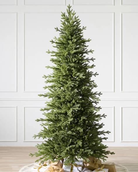 Red Spruce Slim Tree- child-1